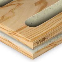 Акустическая тип L10 Шпон Олива