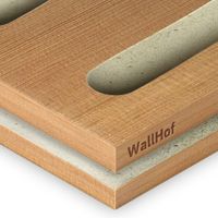 Акустическая тип L10 Шпон Сосна DOUGLAS