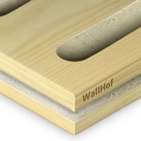 Акустическая тип L10 Шпон Сосна