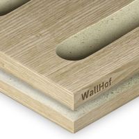 Акустическая тип L10 Шпон Ясень дальневосточный