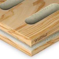 Акустическая тип L8 Шпон Олива