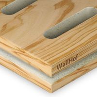 Акустическая тип L6 Шпон Олива