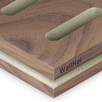 Акустическая тип L6 Шпон Орех американский