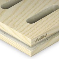 Акустическая тип L6 Шпон Ясень белый