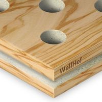 Акустическая тип Rd10 Шпон Олива