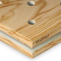 Акустическая тип Rd5 Шпон Олива