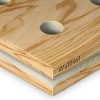 Акустическая тип R10 Шпон Олива