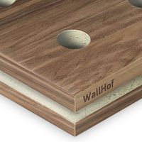 Акустическая тип R10 Шпон Орех европейский