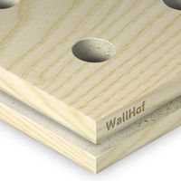 Акустическая тип R10 Шпон Ясень белый