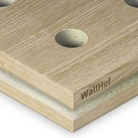 Акустическая тип R10 Шпон Ясень дальневосточный