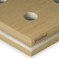 Акустическая тип R10 Шпон Анегри 512Q