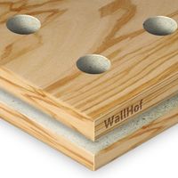 Акустическая тип R8 Шпон Олива