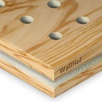 Акустическая тип R5 Шпон Олива