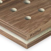 Акустическая тип R5 Шпон Орех европейский