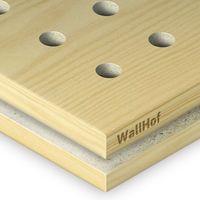 Акустическая тип R5 Шпон Сосна