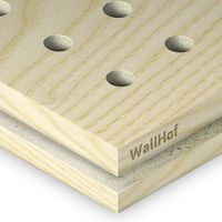 Акустическая тип R5 Шпон Ясень белый