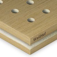 Акустическая тип R5 Шпон Анегри 492Q