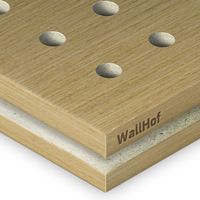 Акустическая тип R5 Шпон Анегри 512Q