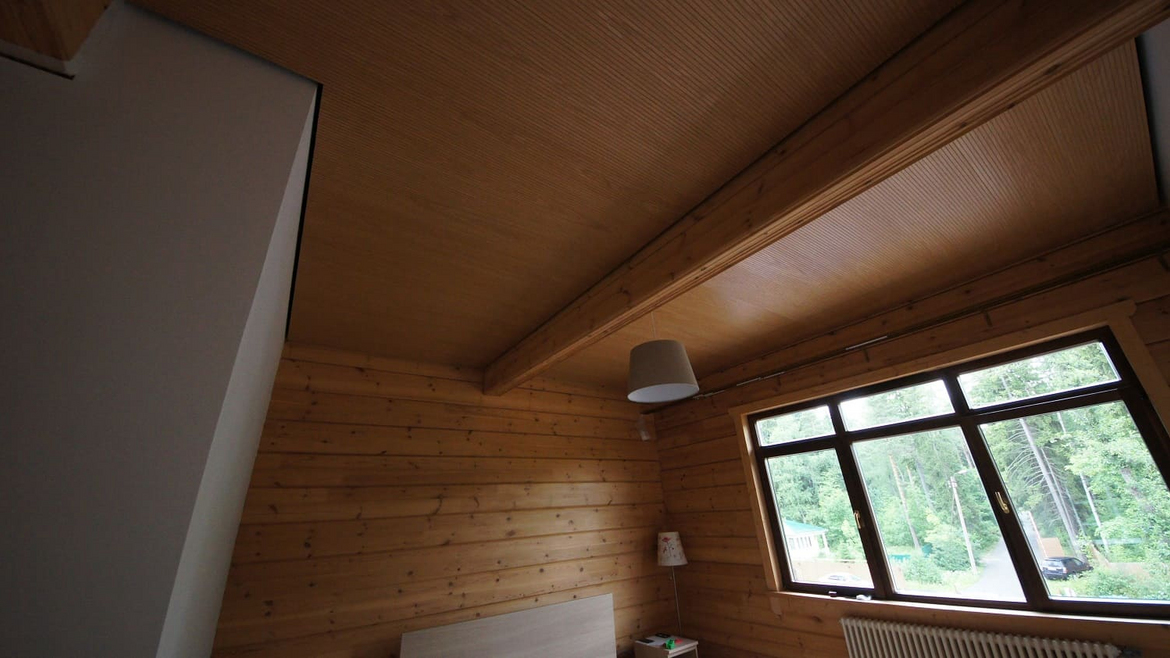 Репино Бриз_2